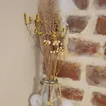 La Mesange Bleue Vakantiehuis *