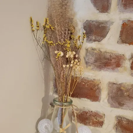 La Mesange Bleue 度假居 *